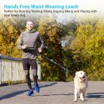 Hands-Free Dog Leash with Zipper Pouch & Handles