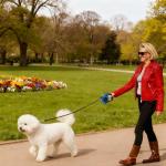 16 Ft Retractable Leash for Small Dogs