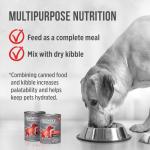 Nutrience Infusion Beef Wet Dog Food, 369g