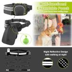 Hands-Free Dog Leash for 2 Dogs, Adjustable Belt