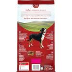 Purina ONE Beef & Rice Dog Food, 1.72 kg