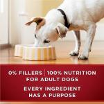 Purina ONE True Instinct Wet Dog Food, 12 Cans