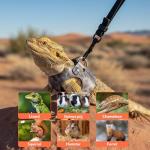 Bearded Dragon Leash and Harness Set - 3 Pack