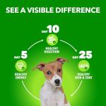 IAMS Proactive Health Puppy Wet Dog Food 12 Pack