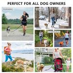 Hands-Free Dog Leash with Pouch and Bungee