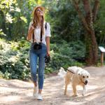 Pecute 32ft Reflective Retractable Dog Leash