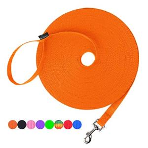 Hi Kiss Long Dog Leash for Training and Play