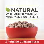 Purina ONE True Instinct Wet Dog Food, 12 Cans