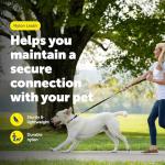 PetSafe Chew-Resistant Nylon Training Leash, Black