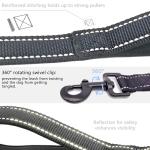 Heavy Duty Training Dog Leash with Padded Handle