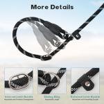 Amrules 6 FT Dog Leash with Padded Handle