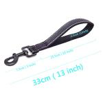 Heavy Duty Training Dog Leash with Padded Handle