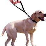 Heavy Duty Training Dog Leash with Padded Handle