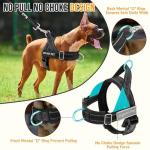 SlowTon No Pull Harness and Leash Set