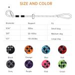 Keittpeet Heavy Duty Slip Leads for Dogs