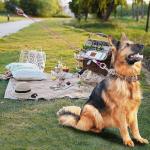 2-Pack Chew-Proof Dog Leash Extender, 24 Inch