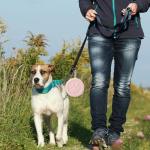 SLSON Dog Treat Pouch for Travel and Training