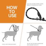 Keittpeet Heavy Duty Slip Leads for Dogs