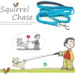 Mycicy 5FT Reflective Bungee Dog Leash