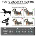 SlowTon No Pull Harness and Leash Set