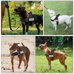 SlowTon No Pull Harness and Leash Set