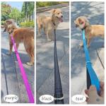 Mycicy 5FT Reflective Bungee Dog Leash
