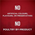 Purina ONE Tender Cuts Beef & Bison Wet Dog Food