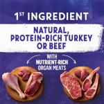 Beyond Wild Turkey & Beef Wet Dog Food Pack