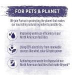 Beyond Wild Turkey & Beef Wet Dog Food Pack