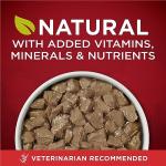 Purina ONE Tender Cuts Beef & Bison Wet Dog Food