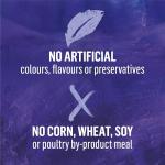 Beyond Wild Turkey & Beef Wet Dog Food Pack