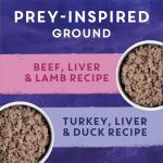 Beyond Wild Turkey & Beef Wet Dog Food Pack