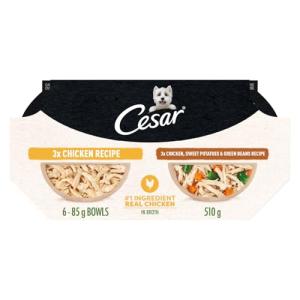 CESAR Wholesome Bowls Chicken & Veggie Dog Food