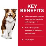 Hill's Science Diet Braised Beef Dog Food, 12 Pack