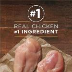 Purina ONE Classic Chicken & Rice Wet Dog Food