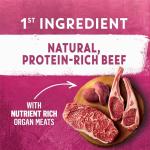 Beyond Wild Wet Dog Food, Beef & Lamb 12 Pack