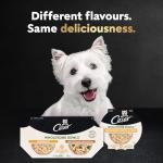 CESAR Wholesome Bowls Chicken & Veggie Dog Food