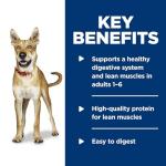 Hill's Science Diet Beef & Vegetable Dog Food