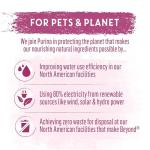 Beyond Wild Wet Dog Food, Beef & Lamb 12 Pack