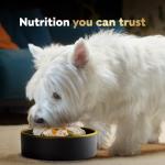 CESAR Wholesome Bowls Chicken & Veggie Dog Food