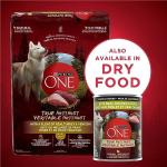 Purina ONE True Instinct Wet Dog Food 12 Pack