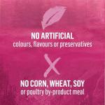 Beyond Wild Wet Dog Food, Beef & Lamb 12 Pack