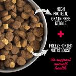 Nutrience SubZero Grain Free Large Breed Dog Food
