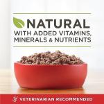 Purina ONE True Instinct Wet Dog Food 12 Pack