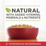 Purina ONE Classic Chicken & Rice Wet Dog Food