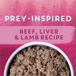 Beyond Wild Wet Dog Food, Beef & Lamb 12 Pack