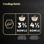 CESAR Wholesome Bowls Chicken & Veggie Dog Food