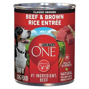 Purina ONE Beef & Brown Rice Wet Dog Food