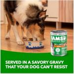IAMS Proactive Health Wet Dog Food - Chicken Gravy