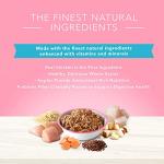 Blue Buffalo Digestive Care Wet Dog Food 12-Pack